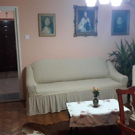 Cozy, Central 1-Bedroom Apartment In Timisoara, Romania Екстер'єр фото