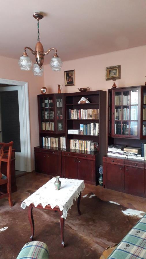 Cozy, Central 1-Bedroom Apartment In Timisoara, Romania Екстер'єр фото