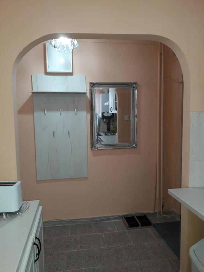 Cozy, Central 1-Bedroom Apartment In Timisoara, Romania Екстер'єр фото