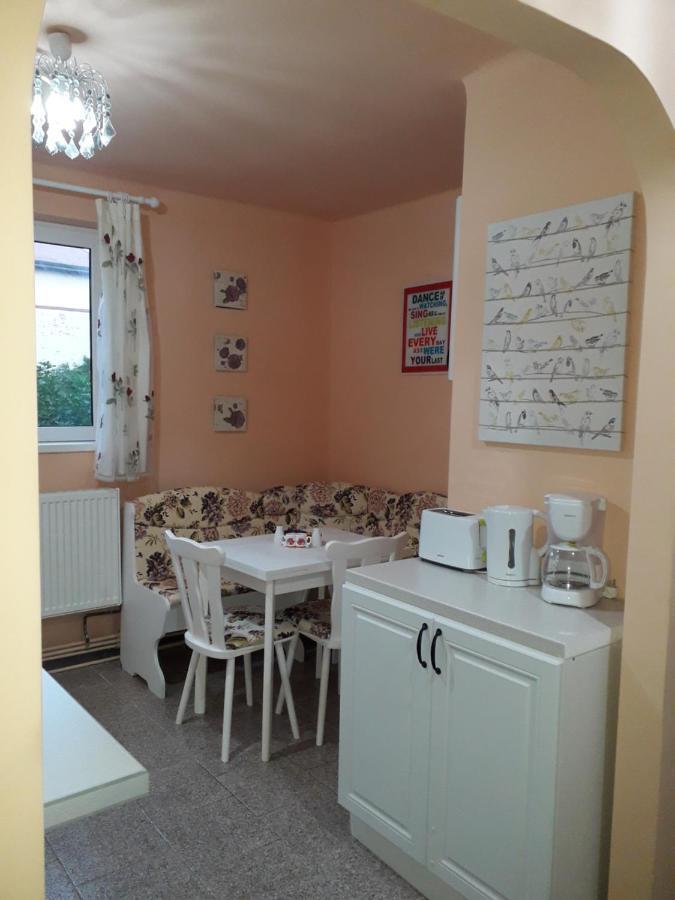 Cozy, Central 1-Bedroom Apartment In Timisoara, Romania Екстер'єр фото