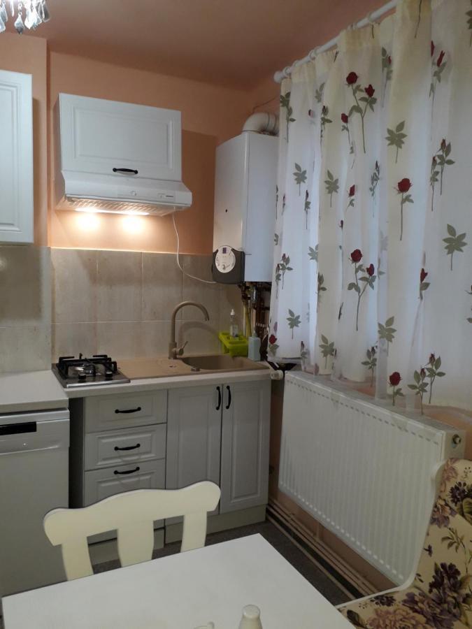 Cozy, Central 1-Bedroom Apartment In Timisoara, Romania Екстер'єр фото